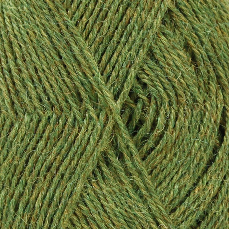 Alpaca